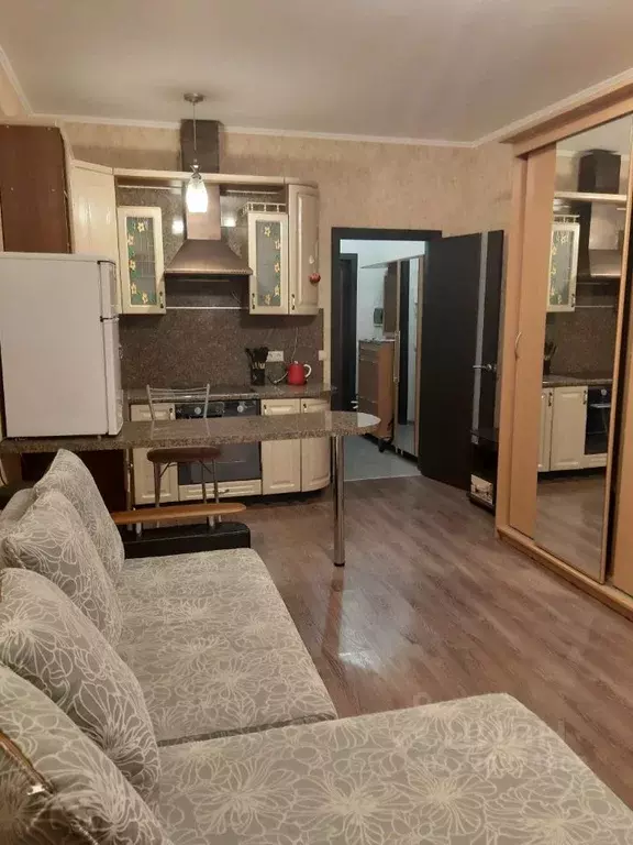 1-к кв. Московская область, Реутов Юбилейный просп., 66 (28.0 м) - Фото 2