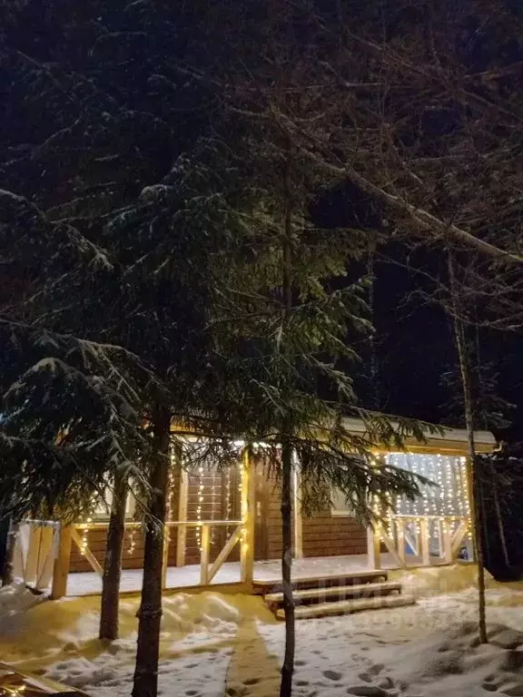 Дом в Новгородская область, Валдайский район, Рощинское с/пос, д. ... - Фото 1