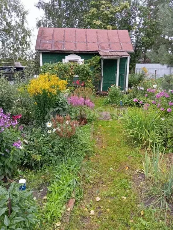 Дом в Новосибирская область, Новосибирск  (20 м) - Фото 2