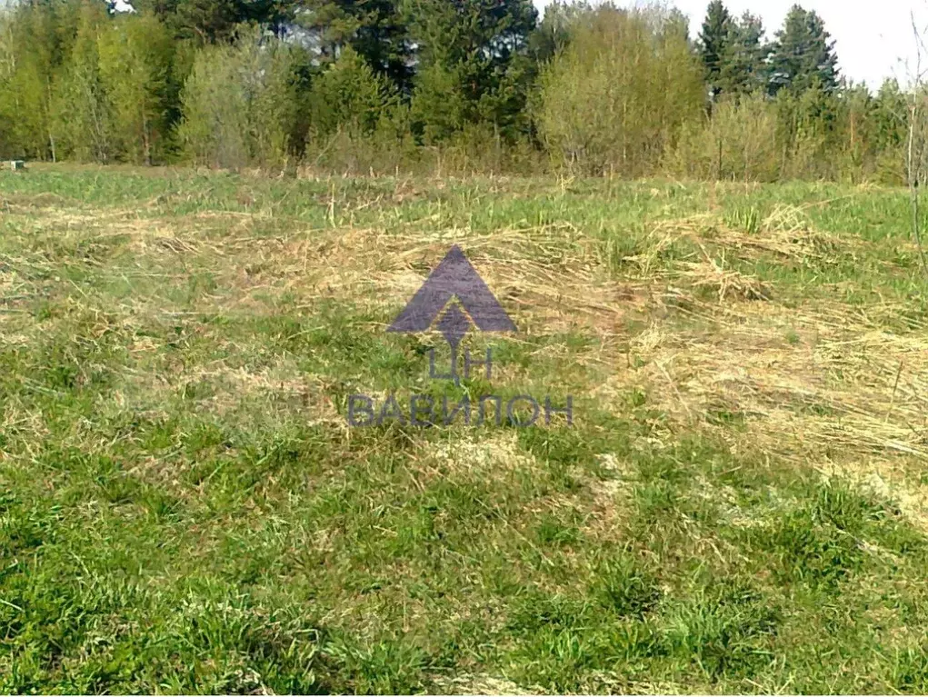 Участок в Ростовская область, Волгодонской район, Добровольское с/пос, ... - Фото 1