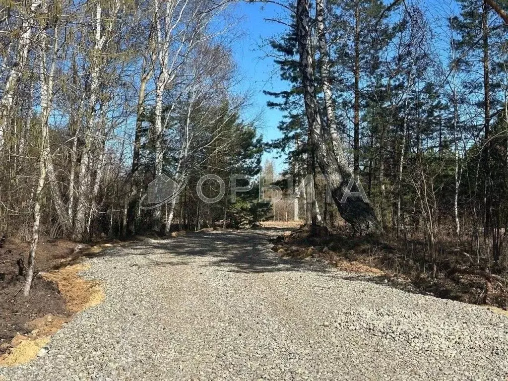 Участок в Тюменская область, Тюменский район, д. Головина  (15.0 сот.) - Фото 1