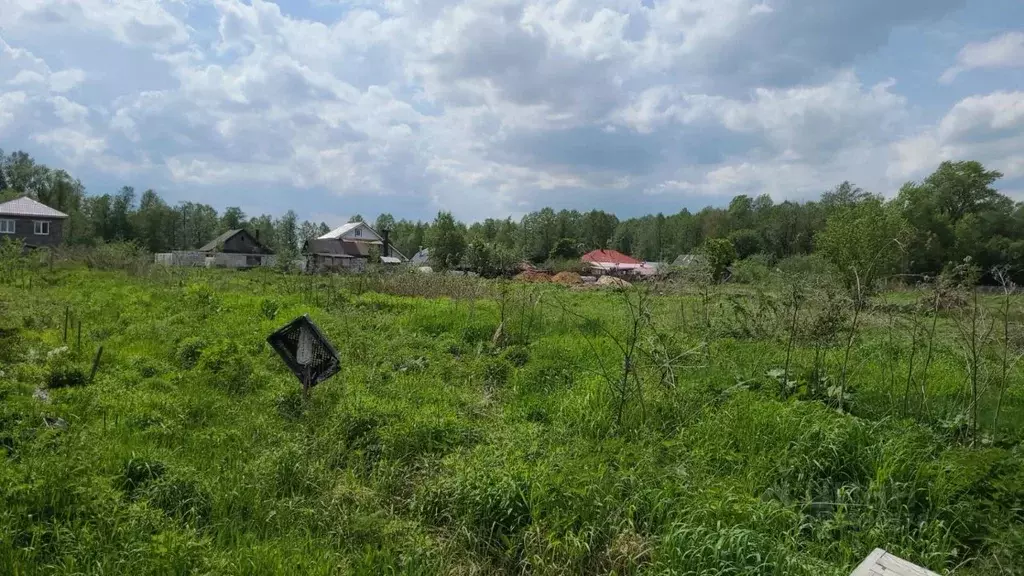 Участок в Нижегородская область, Бор городской округ, д. Круглово ... - Фото 0