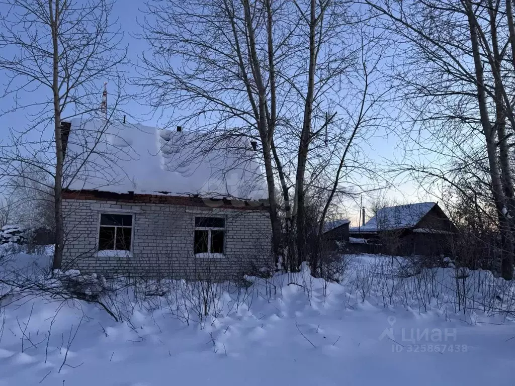 Участок в Курганская область, Каргапольский муниципальный округ, ... - Фото 2