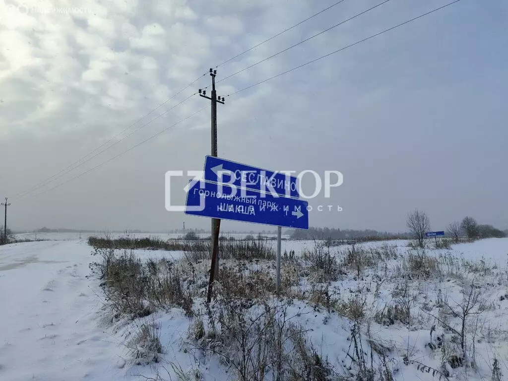 Дом в Ярославский муниципальный округ, село Сеславино, 51 (54 м) - Фото 2