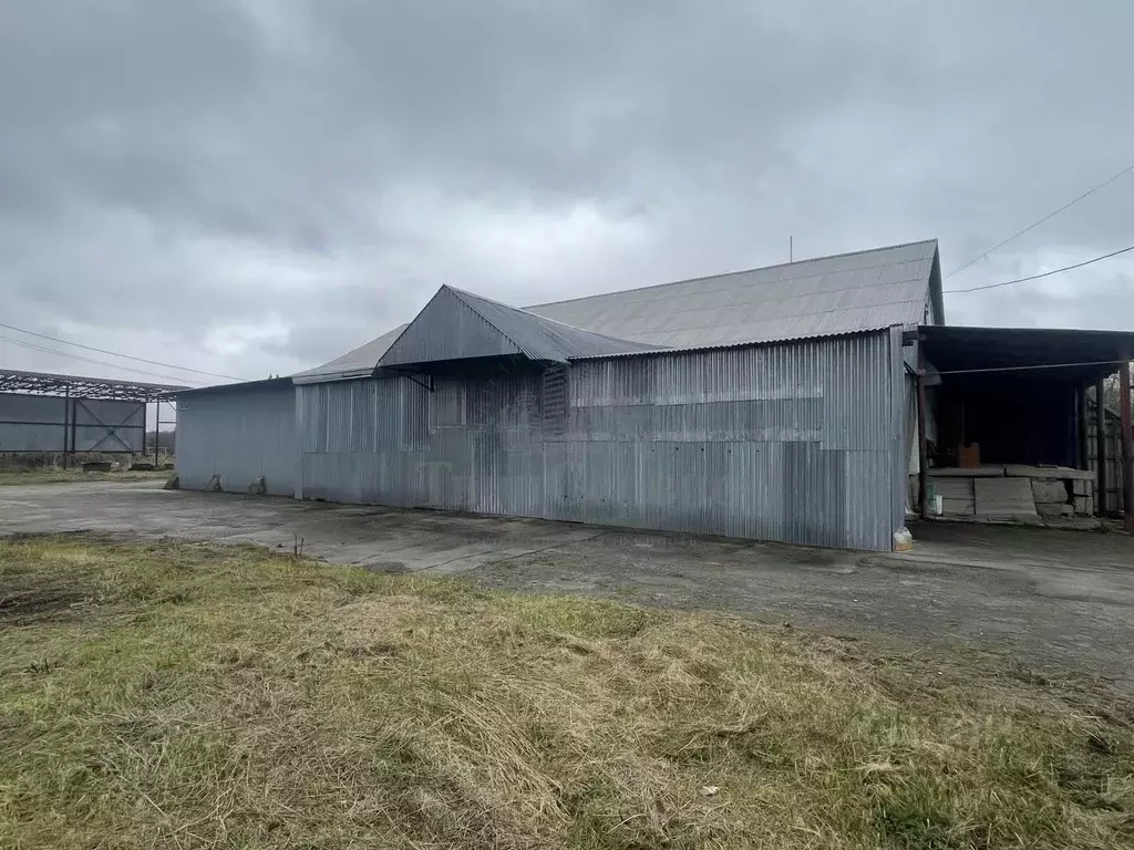 Производственное помещение в Тульская область, Дубенский район, ... - Фото 1