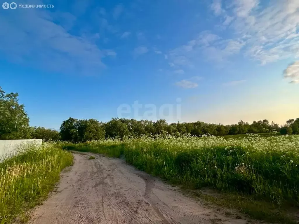 Участок в Архангельская область, Приморский муниципальный округ, ... - Фото 0