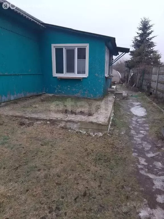 Дом в деревня Толвинка, Толвинская улица (51 м) - Фото 2