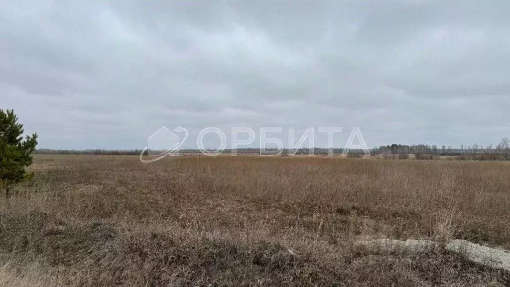 участок в тюменская область, тюменский район, с. горьковка (200.0 . - Фото 0