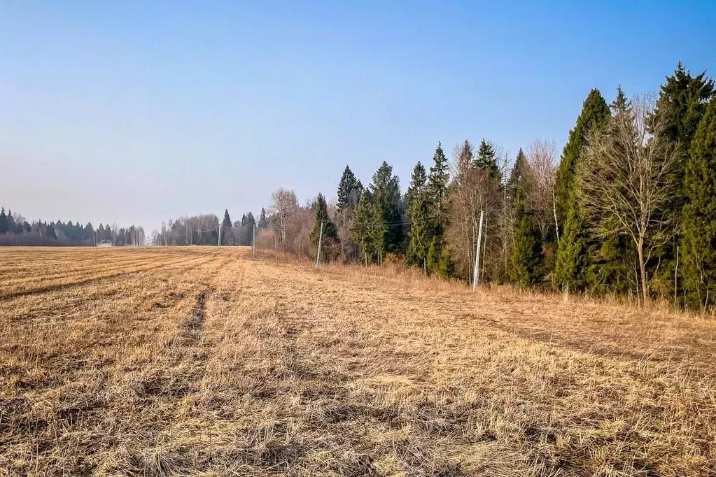 Участок в Московская область, Дмитровский муниципальный округ, ... - Фото 2