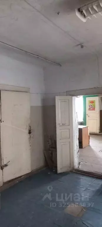 Помещение свободного назначения в Пензенская область, Спасск ул. ... - Фото 1