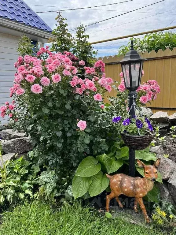 Дом в Воронежская область, Россошь ул. Красина, 10 (50 м) - Фото 1