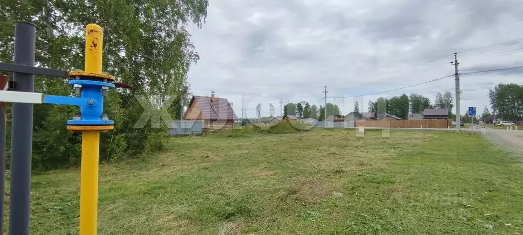 Участок в Новосибирская область, Новосибирский район, Сибирские ... - Фото 1