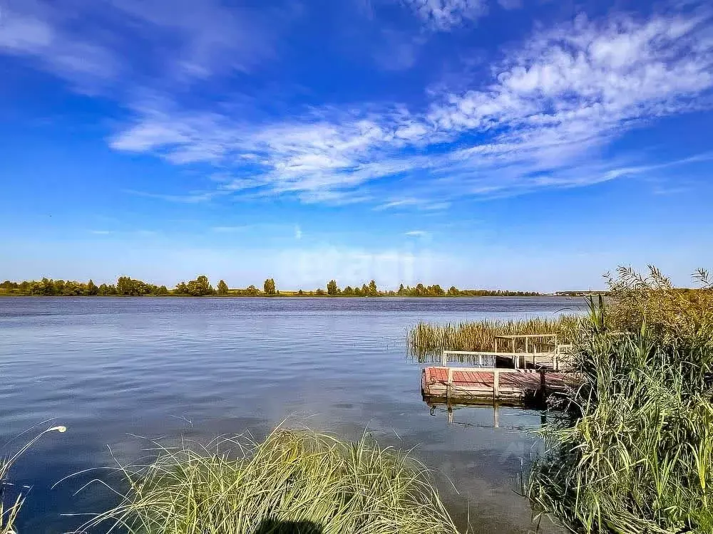 Участок в Ярославская область, Ярославский муниципальный округ, пос. ... - Фото 1