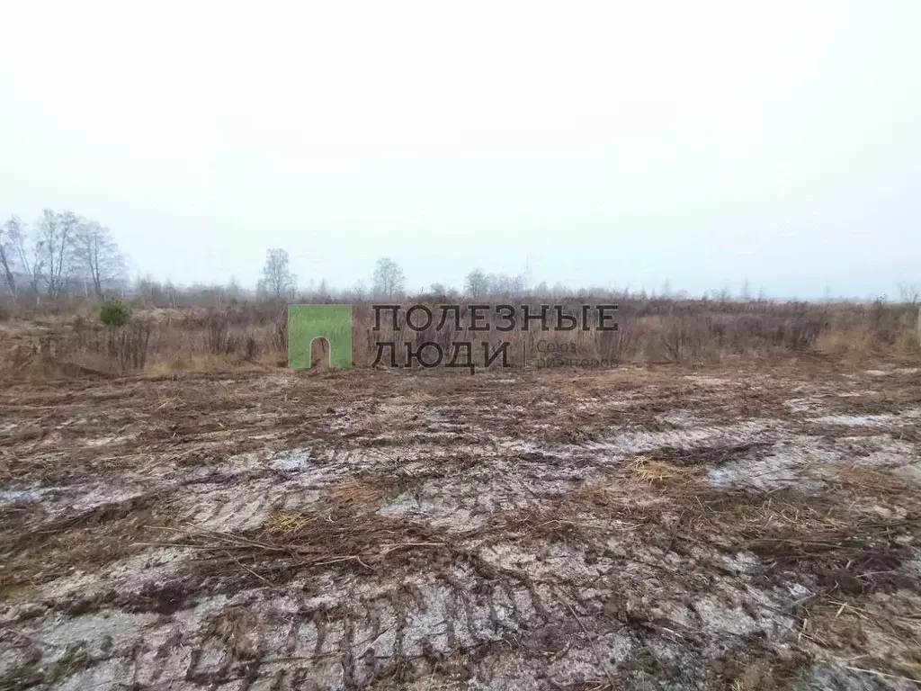 Участок в Орловская область, Орловский муниципальный округ, д. ... - Фото 1