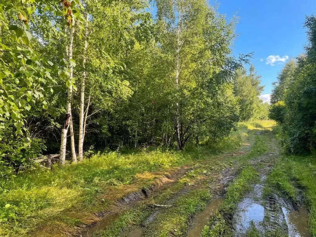 Участок в Иркутская область, Шелехов  (50.0 сот.) - Фото 1