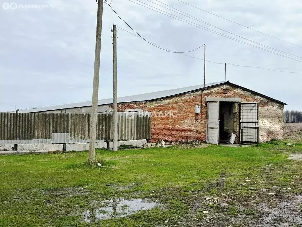 Помещение свободного назначения (1580 м) - Фото 1