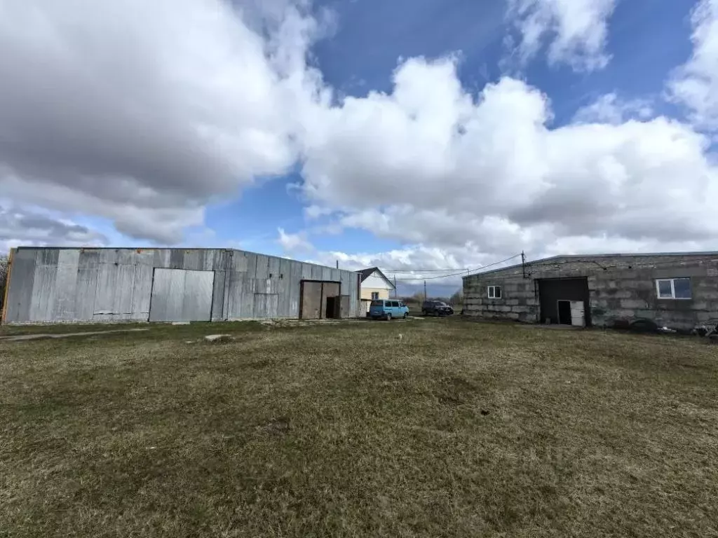 Помещение свободного назначения в Брянская область, Жуковский ... - Фото 1