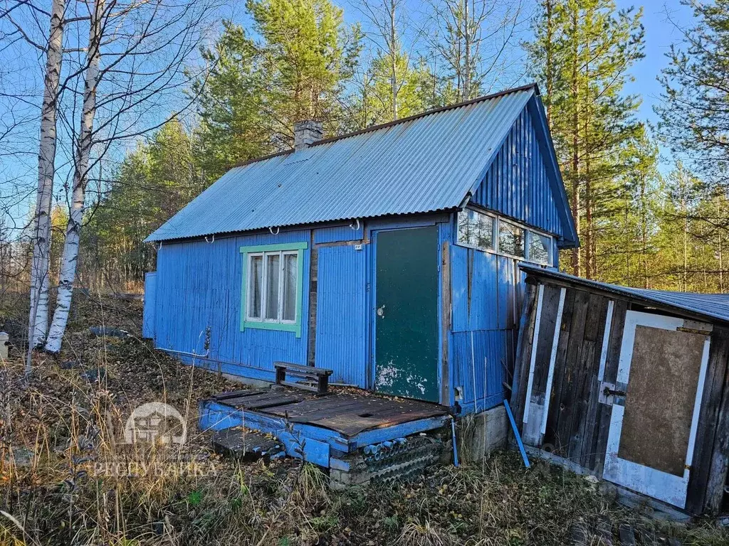 Дом в Карелия, Костомукшский городской округ, пос. Заречный ул. ... - Фото 0