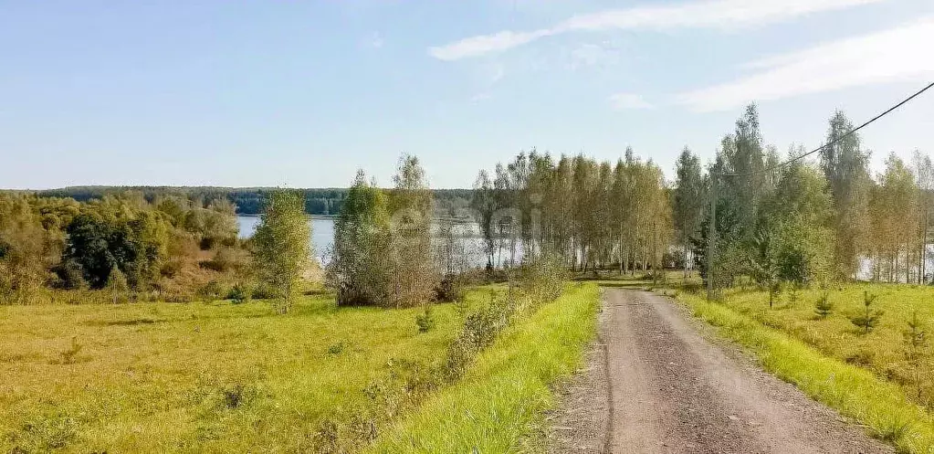 Участок в Ярославская область, Угличский район, Отрадновское с/пос, д. ... - Фото 1