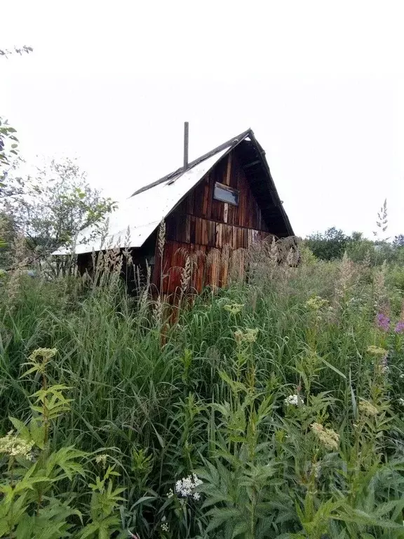 Участок в Свердловская область, Екатеринбург Приисковый-9 СНТ, 127 ... - Фото 2
