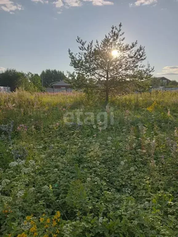 Участок в Башкортостан, Стерлитамакский район, Отрадовский сельсовет, ... - Фото 1