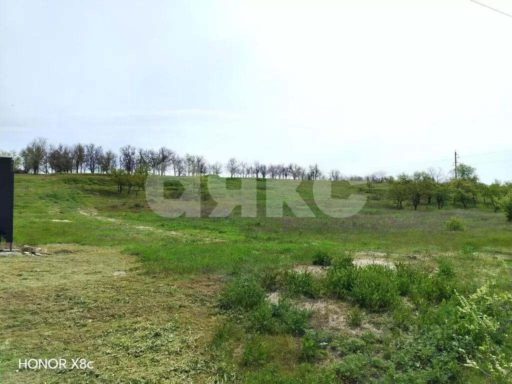 Участок в Волгоградская область, Городищенский район, Царицынское ... - Фото 2