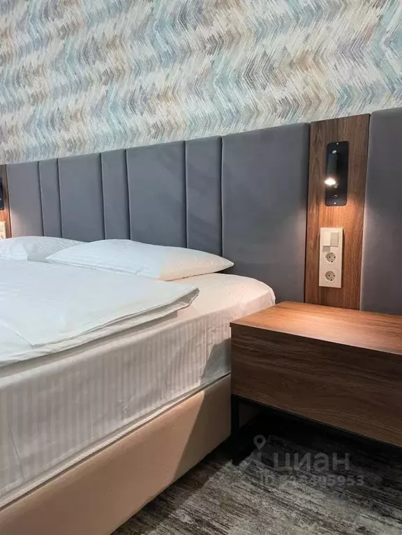 2-к кв. Хабаровский край, Хабаровск ул. Алексеевская, 1 (50.0 м) - Фото 1