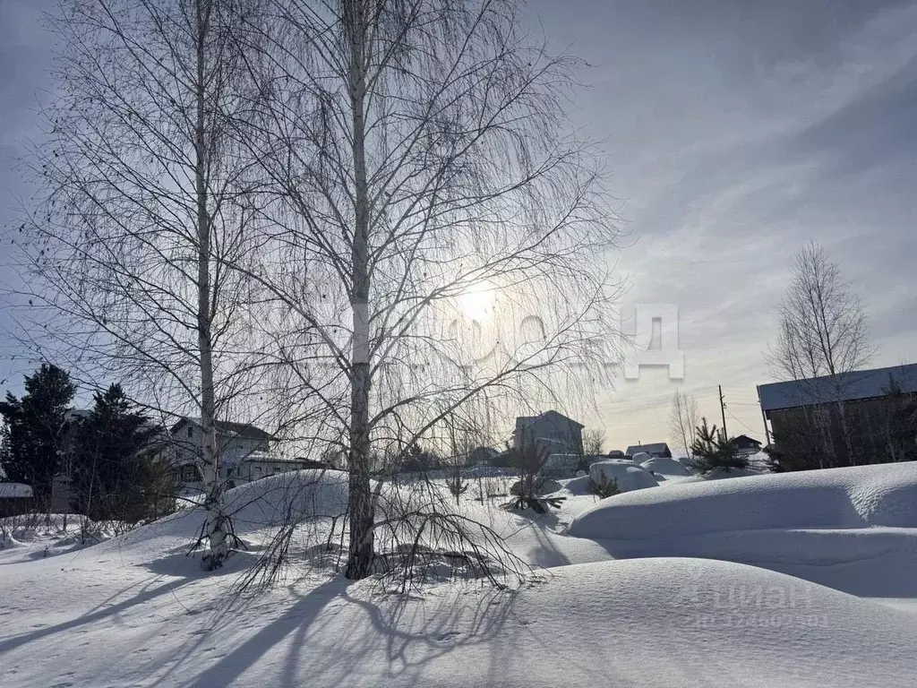 Участок в Новосибирская область, Новосибирский район, Барышевский ... - Фото 1