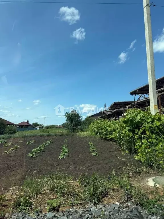 Участок в Белгородская область, Белгородский район, Дубовское с/пос, ... - Фото 1