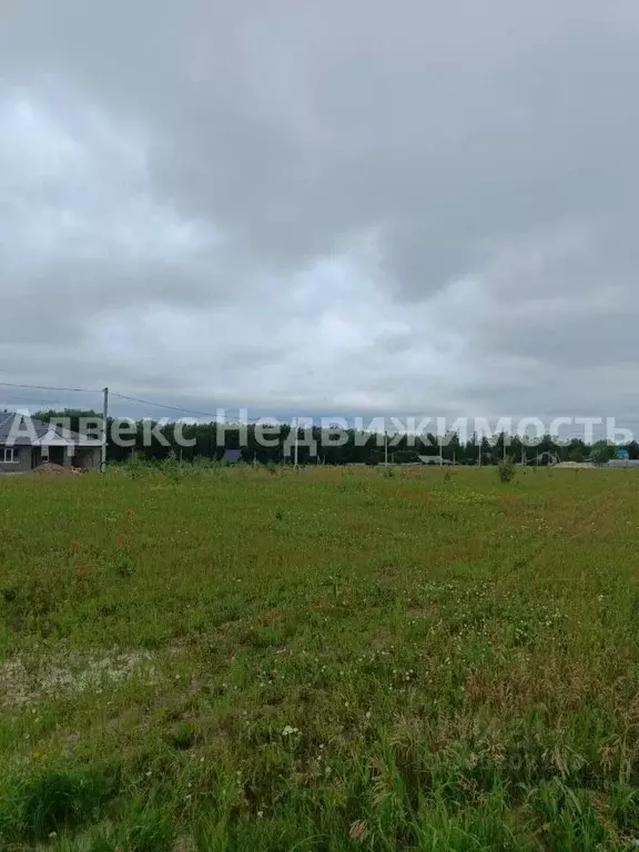 Участок в Тюменская область, Тюменский район, с. Кулига  (7.11 сот.) - Фото 1