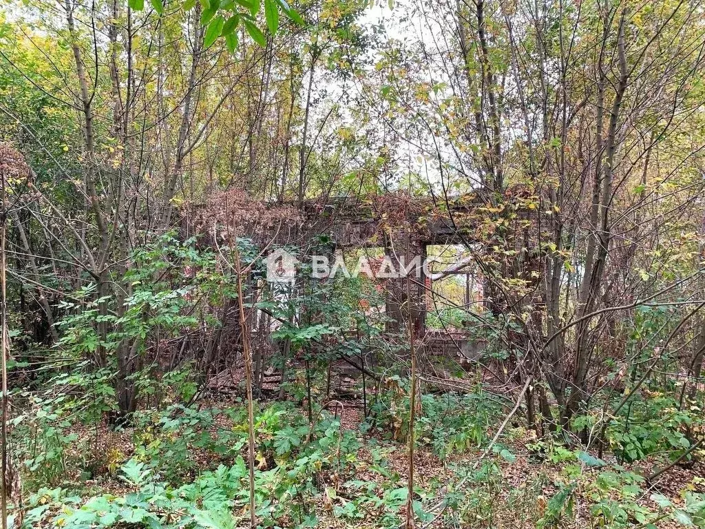Участок в деревня Балахонки, Центральная улица, 19 (14.46 м) - Фото 0