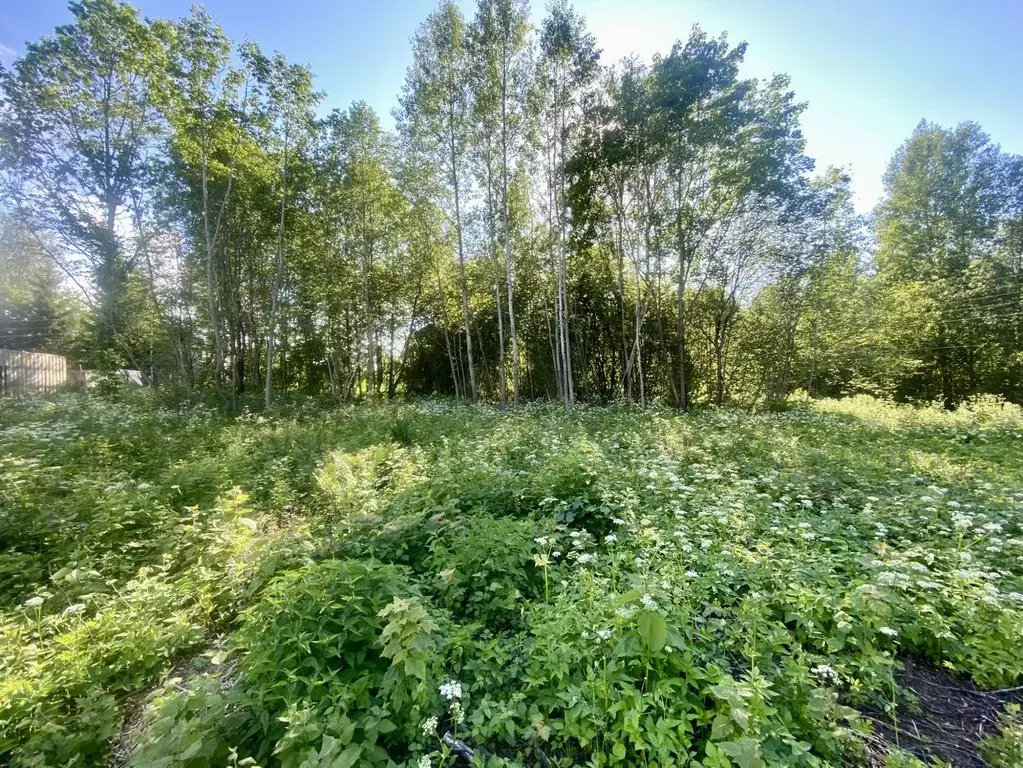 Участок в Владимирская область, Александровский район, ... - Фото 0