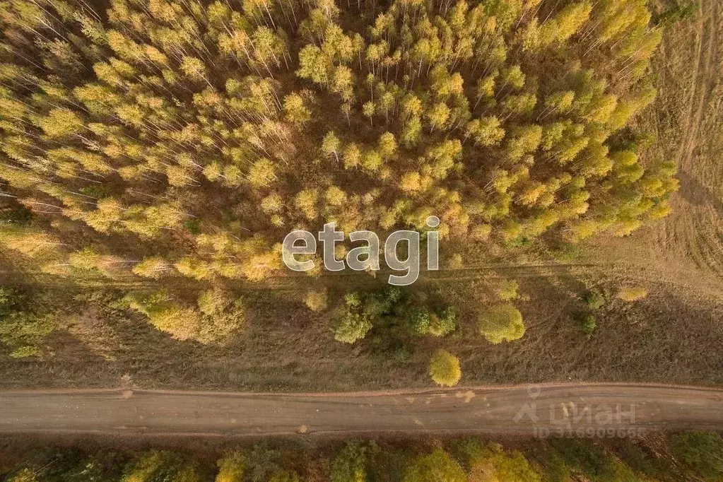 Участок в Ярославская область, Некрасовский муниципальный округ, ... - Фото 1