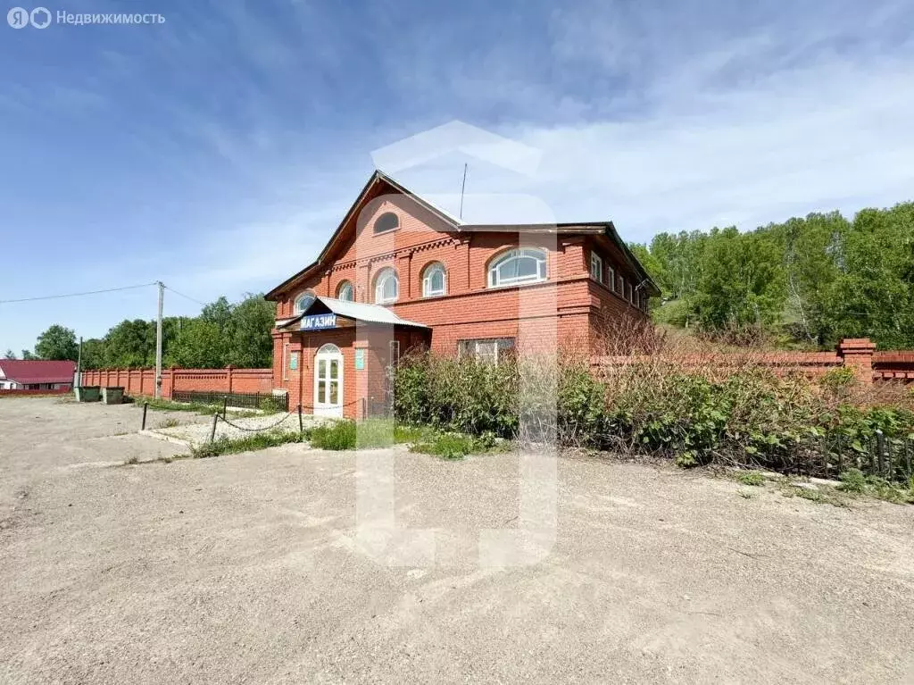 Помещение свободного назначения (321 м) - Фото 0