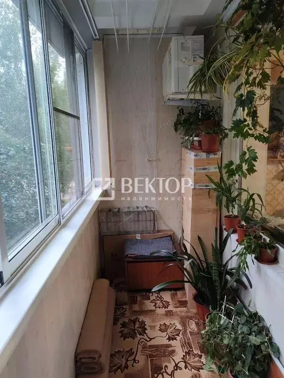 1-к кв. Ивановская область, Шуя Южное ш., 10В (35.0 м) - Фото 1