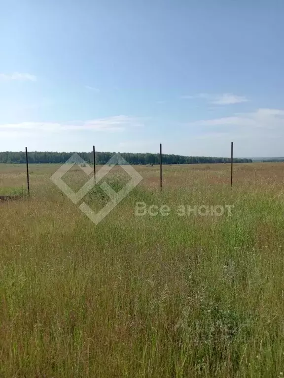 участок в челябинская область, сосновский район, кременкульское с/пос, . - Фото 0