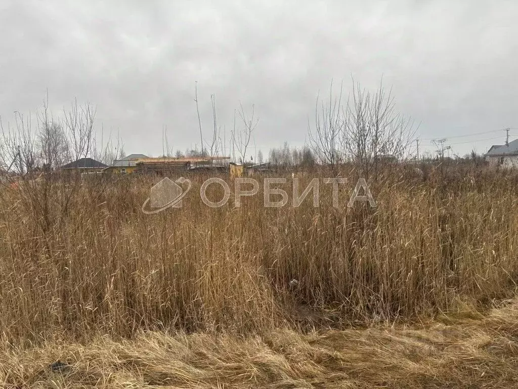 Участок в Тюменская область, Тюмень Поле Чудес садовое товарищество, ... - Фото 2