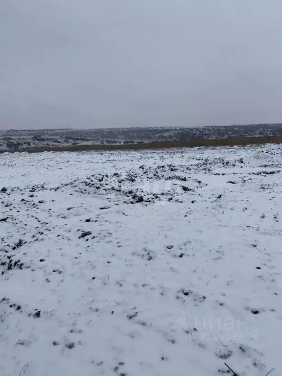 Участок в Белгородская область, Белгородский район, Головинское с/пос, ... - Фото 1