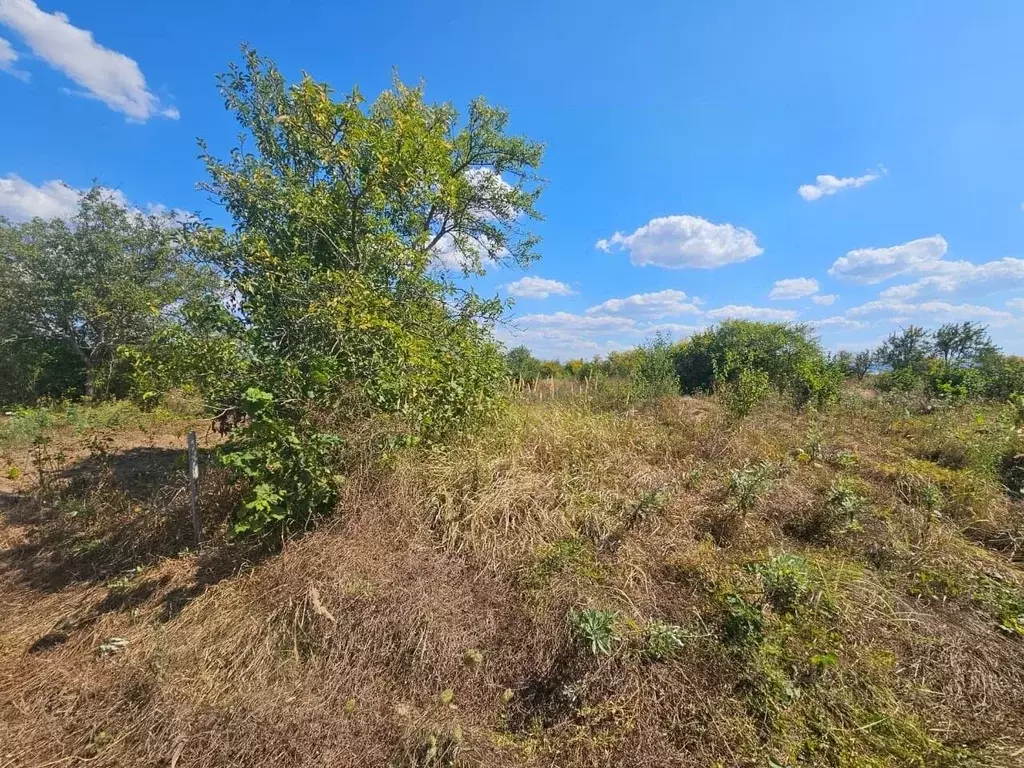 Участок в Краснодарский край, Абинск ул. Мира (6.0 сот.) - Фото 1