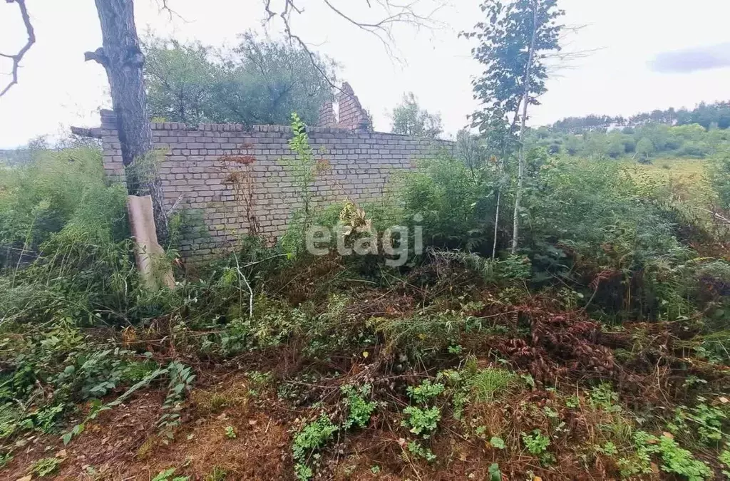Участок в Амурская область, Благовещенск  (12.0 сот.) - Фото 0