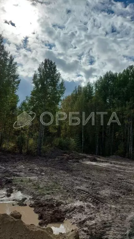 Участок в Тюменская область, Нижнетавдинский район, пос. Кунчур  (7.62 ... - Фото 1