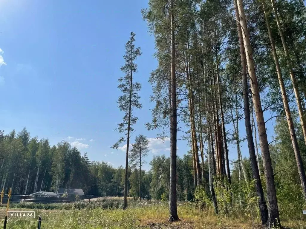 Участок в Свердловская область, Сысертский городской округ, пос. ... - Фото 0