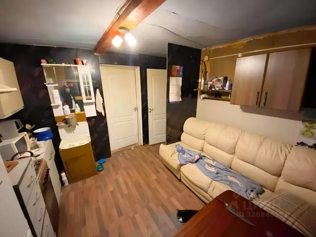 Дом в Москва д. Песье, 27 (34 м) - Фото 2