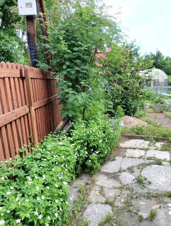 Дом в Омская область, Омск СОСН Кировец-2 тер., 43 (30 м) - Фото 2