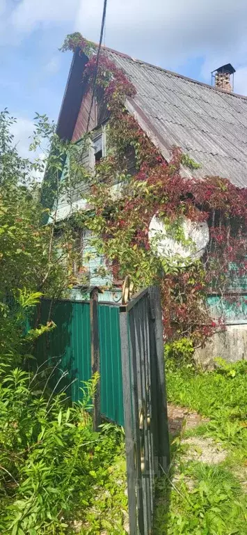 Дом в Псковская область, Остров ул. 8 Марта, 40 (80 м) - Фото 2