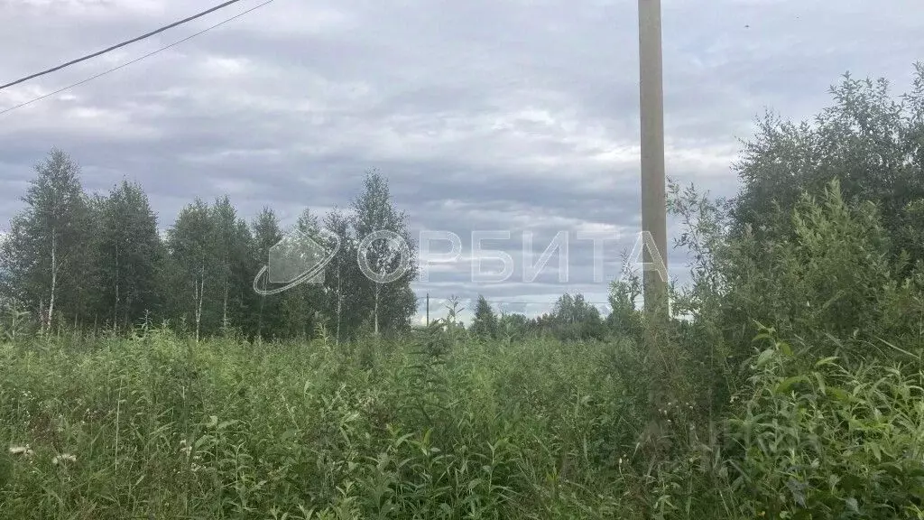 Участок в Тюменская область, Тюмень Большое Царево-2 СНТ,  (10.0 сот.) - Фото 1