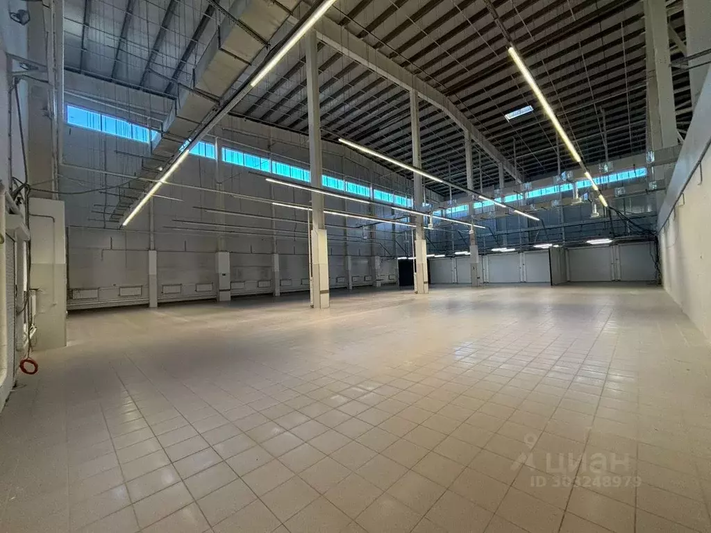 Помещение свободного назначения в Кемеровская область, Кемерово ул. ... - Фото 1