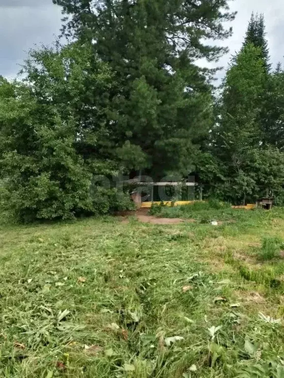 Дом в Алтай, Турочакский район, с. Иогач Дачная ул., 2 (52 м) - Фото 2