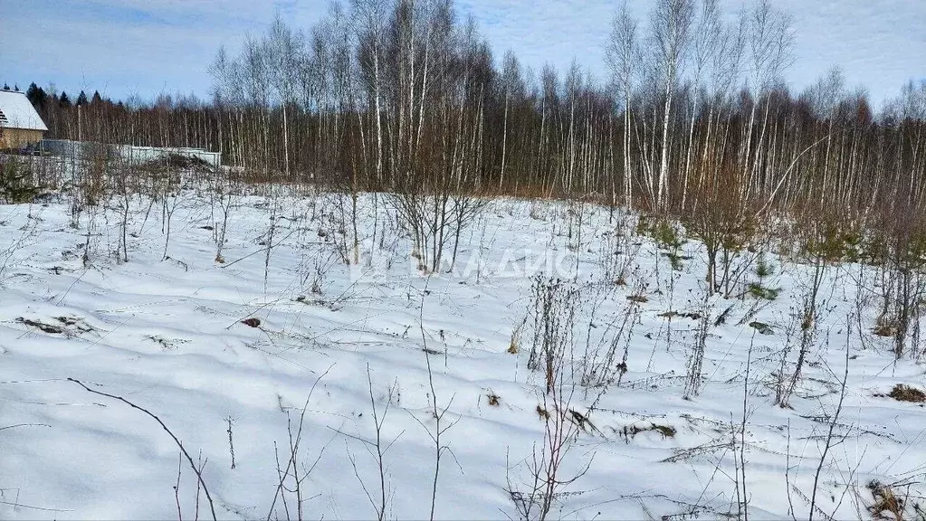 Участок в Калужская область, Калуга городской округ, д. Матюнино  ... - Фото 2