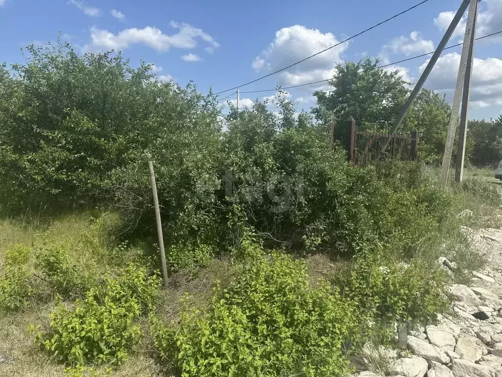 Участок в Белгородская область, Белгородский муниципальный округ, с. ... - Фото 1